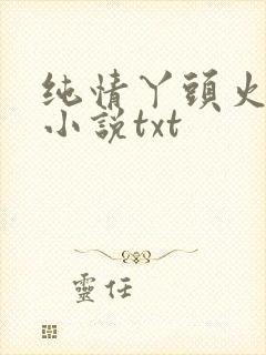 纯情丫头火辣辣小说txt