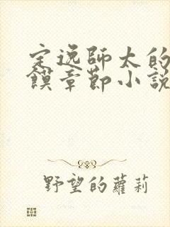 定逸师太的肉夹馍章节小说