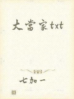 大当家txt