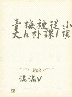 青梅被从小摸到大h补课1视频