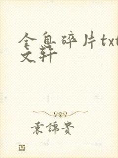 全息碎片txt文轩