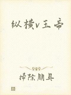 纵横v玉帝