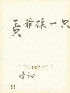 王爷揉一只舔一只