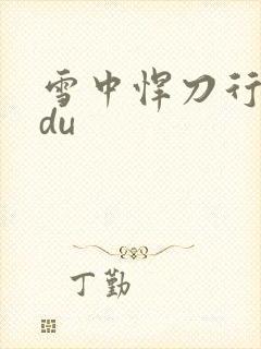雪中悍刀行sodu
