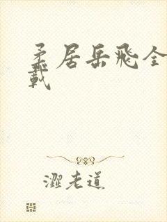 柔居岳飞全传下载