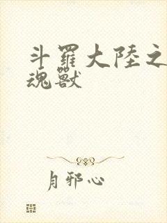 斗罗大陆之最强魂兽