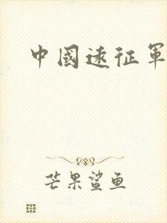 中国远征军下载