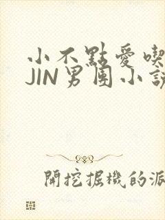 小不点爱吃肉混JIN男团小说