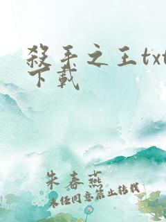 杀手之王txt下载