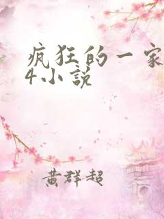 疯狂的一家ps4小说