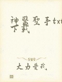 神医圣手txt下载