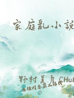 家庭乱小说