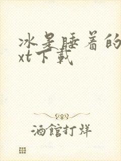 冰是睡着的水txt下载