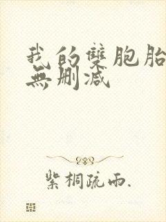 我的双胞胎老婆无删减