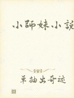 小师妹小说