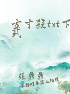 方寸杀txt下载