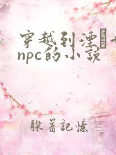 穿越到湮婸世界npc的小说