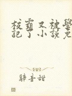 校霸又被学神标记了小说免费阅读