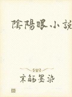 阴阳眼小说
