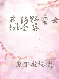 我的野蛮女上司txt全集