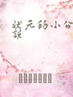 状元的小公主小说