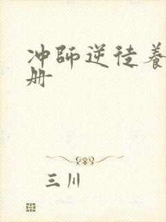 冲师逆徒养成手册