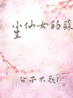 小仙女的苏撩先生