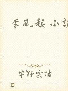 李风起 小说