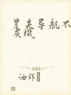 农夫导航不要打灰机