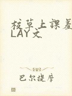 校草上课羞耻PLAY文