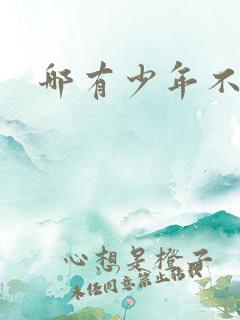 哪有少年不戴花