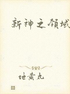 新神之领域