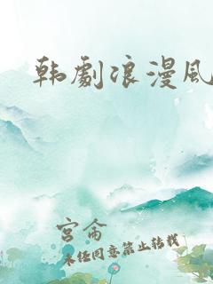 韩剧浪漫风暴