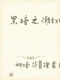黑暗之潮txt
