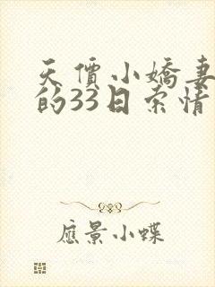 天价小娇妻总裁的33日索情