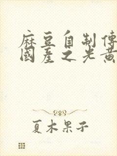 麻豆自制传媒 国产之光黄