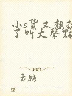 小s货又想挨c了叫大声点