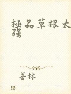 极品草根太子张强