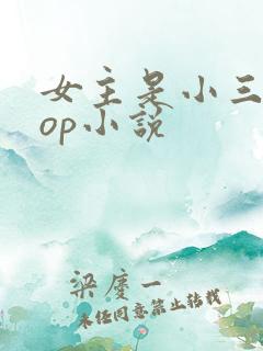 女主是小三的pop小说