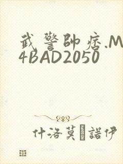 武警帅痞.MP4BAD2050