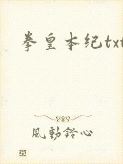 拳皇本纪txt