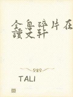 全息碎片在线阅读文轩