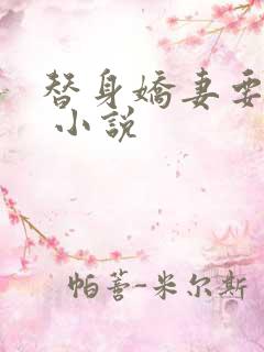 替身娇妻要离婚 小说