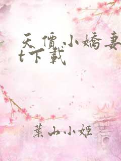 天价小娇妻txt下载