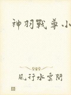 神羽战尊小说