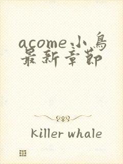 acome小鸟最新章节