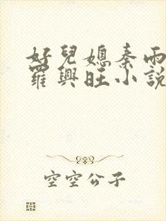 好儿媳秦雨罗明罗兴旺小说