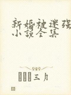 新婚被迷强系列小说全集