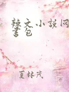 辣文小说网第二书包
