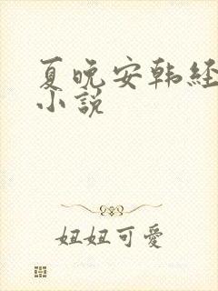 夏晚安韩经年的小说